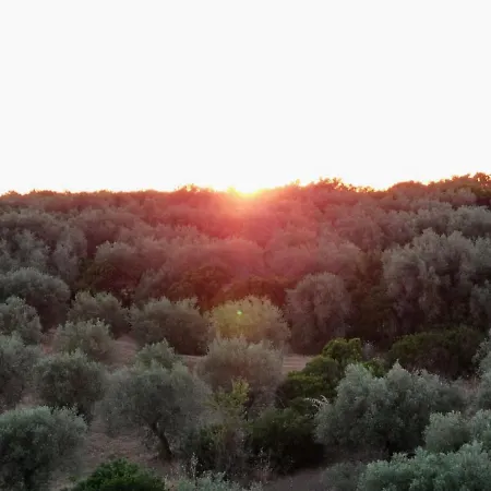 Sa Mola Glamping Experience Roulotte *
