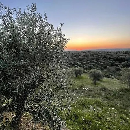 Sa Mola Glamping Experience Roulotte Escolca