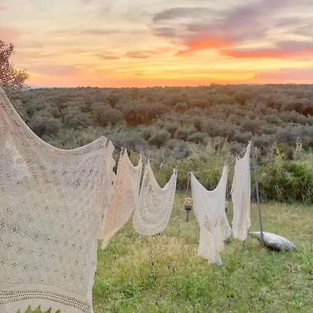 Sa Mola Glamping Experience Roulotte Escolca
